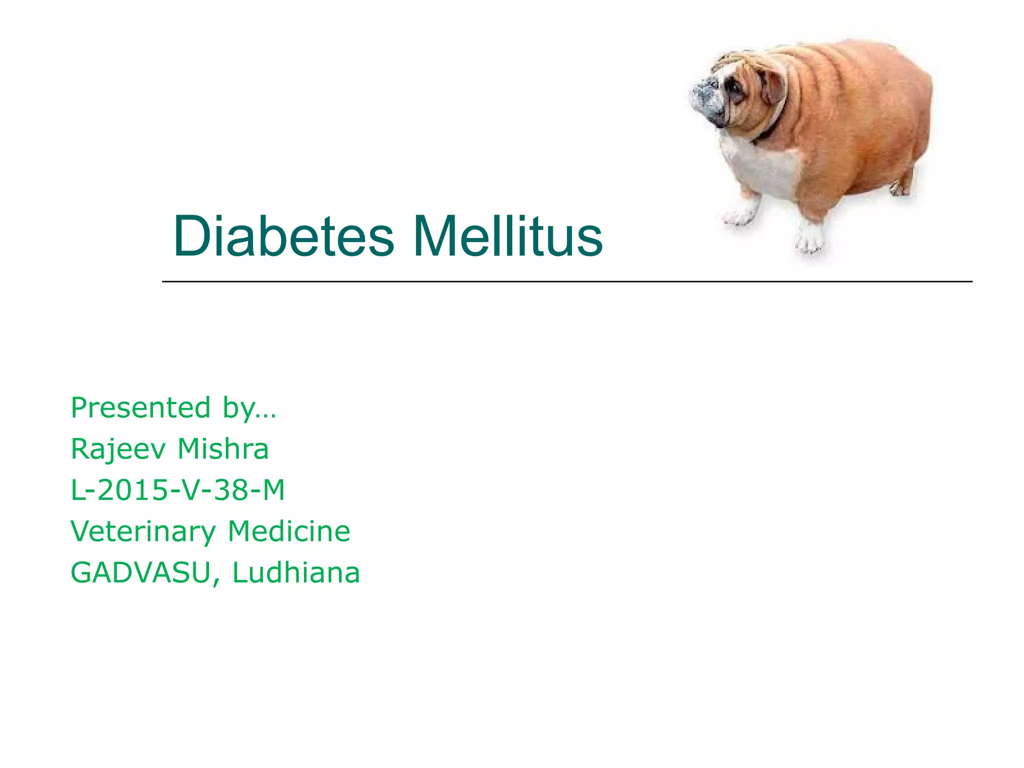 Diabetes mellitus in Dogs. PPT