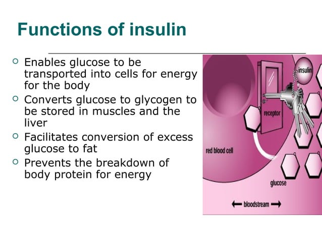 Diabetes mellitus in Dogs. | PPT - Insulin Resistance In Dogs And Circulatory Disorders