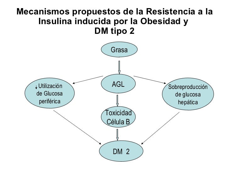 Diabetes mellitus 2 ppt Diabetes mellitus 2 ppt