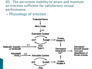 Diabetes mellitus and erectile dysfunction by Dr. Mohand Yaghi PgDip ...