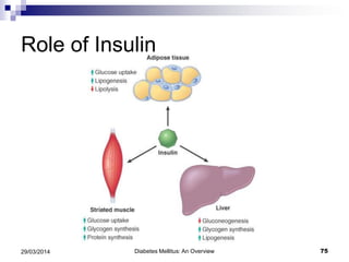 Role of Insulin
Diabetes Mellitus: An Overview 7529/03/2014
 