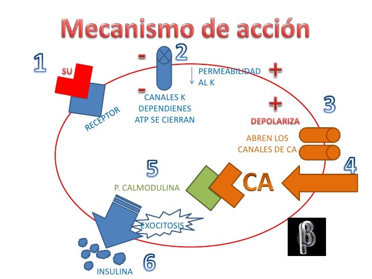 Diabetes mellitus Arturo Zepeda Aguilar Diabetes mellitus Arturo Zepeda Aguilar