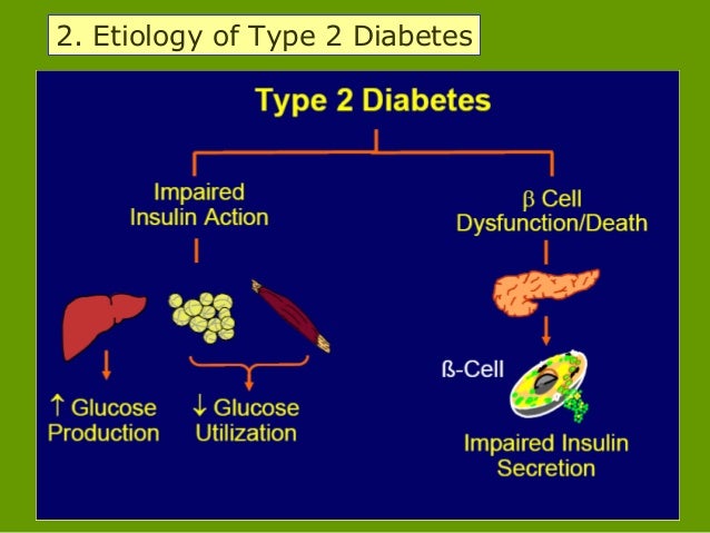 Diabetes mellitus by dr shahjada selim