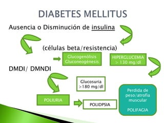 Ausencia o Disminución de  insulina (células beta/resistencia) DMDI/ DMNDI HIPERGLUCEMIA > 130 mg/dl Perdida de peso/atrofia muscular POLIFAGIA Glucosuria >180 mg/dl POLIDPSIA POLIURIA Glucogenólisis Gluconeogénesis 