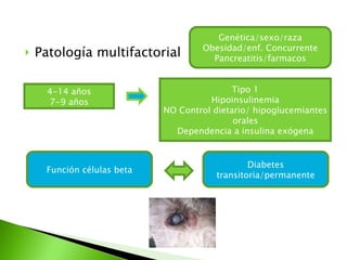 Patología multifactorial  Genética/sexo/raza Obesidad/enf. Concurrente Pancreatitis/farmacos 4-14 años 7-9 años Tipo 1 Hipoinsulinemia NO Control dietario/ hipoglucemiantes orales Dependencia a insulina exógena Función células beta Diabetes transitoria/permanente 