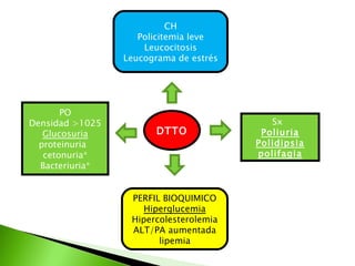 DTTO Sx  Poliuria Polidipsia polifagia CH Policitemia leve Leucocitosis Leucograma de estrés PERFIL BIOQUIMICO Hiperglucemia Hipercolesterolemia ALT/PA aumentada lipemia PO Densidad >1025 Glucosuria proteinuria  cetonuria* Bacteriuria* 