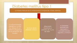 La historia Natural de la enfermedad comprende 4 fases distintas:
Diabetes mellitus tipo 1
1) Autoinmunidad
preclínica contra
las células con
ẞ
defecto progresivo
de la secreción de
insulina.
2) Inicio de la
diabetes clínica
3)Remisión
transitoria o
periodo de “Luna
de Miel”
4) Diabetes
establecida
asociada a
complicaciones
agudas y cronicas
 