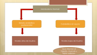 Metabolismo Normal:
Catabólico en ayuno
Estado anabólico
postprandial
Niveles altos de insulina Niveles bajos de insulina
Que Afectan al
hígado, musculo y
tejido adiposo.
 