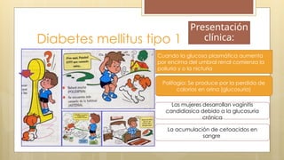 Diabetes mellitus tipo 1
Presentación
clínica:
Cuando la glucosa plasmática aumenta
por encima del umbral renal comienza la
poliuria y o la nicturia
Polifagia: Se produce por la perdida de
calorías en orina (glucosuria)
Las mujeres desarrollan vaginitis
candidiasica debido a la glucosuria
crónica
La acumulación de cetoacidos en
sangre
 