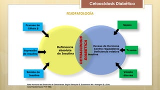 Deficiencia
absoluta
de Insulina
Exceso de Hormona
Contra reguladoras
Deficiencia relativa
insulina
CETOACIDOSIS
DIABETICA
Supresión
de insulina
Fracaso de
Célula β
Bomba de
Insulina
Sepsis
Trauma
Vómito
diarrea
Base Hormonal del Desarrollo de Cetoacidosis. Según Dahiquist G. Gustavsson KH. Holmgren G y Cols.
Acta Paediatr Scand 71:7 1982.
FISIOPATOLOGÍA
Cetoacidosis Diabética
 