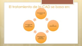 El tratamiento de la CAD se basa en:
Tratamiento del
shock
La
rehidratación
Restablecer el
equilibrio
ácido-base
La corrección
de la
hiperglucemia.
 