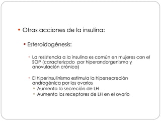 Otras acciones de la insulina: Esteroidogénesis: La resistencia a la insulina es común en mujeres con el SOP (caracterizado  por hiperandorgenismo y anovulación crónica) El hiperinsulinismo estimula la hipersecreción androgénica por los ovarios Aumenta la secreción de LH Aumenta los receptores de LH en el ovario 