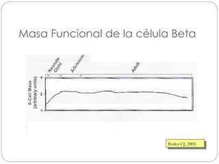 Masa Funcional de la célula Beta Rodes CJ, 2005 