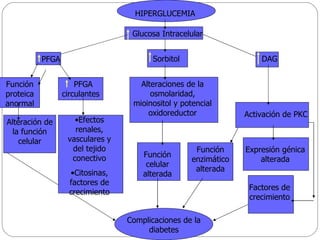 HIPERGLUCEMIA Glucosa Intracelular Complicaciones de la diabetes Sorbitol Alteraciones de la osmolaridad, mioinositol y potencial oxidoreductor Función celular alterada PFGA Función proteica anormal Alteración de la función celular PFGA circulantes Efectos renales, vasculares y del tejido conectivo Citosinas, factores de crecimiento Función enzimático alterada DAG Activación de PKC Expresión génica alterada Factores de crecimiento 