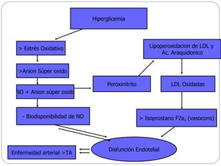Hiperglicemia > Estrés Oxidativo >Anion Súper oxido NO + Anion súper oxido - Biodisponibilidad de NO Disfunción Endotelial Peroxinitrito Lipoperoxidacion de LDL y  Ac. Araquidonico LDL Oxidadas > Isoprostano F2a, (vasocons) Enfermedad arterial >TA 