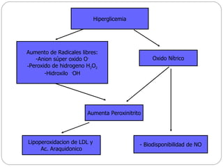 Aumento de Radicales libres: Anion  súper oxido O - Peroxido de hidrogeno H 2 O 2 Hidroxilo  - OH Hiperglicemia Aumenta Peroxinitrito Oxido Nítrico Lipoperoxidacion de LDL y  Ac. Araquidonico - Biodisponibilidad de NO 