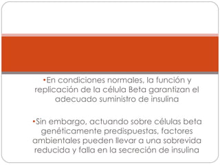 En condiciones normales, la función y replicación de la célula Beta garantizan el adecuado suministro de insulina Sin embargo, actuando sobre células beta genéticamente predispuestas, factores ambientales pueden llevar a una sobrevida reducida y falla en la secreción de insulina En Resumen (1) 