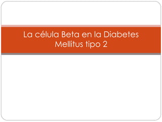 La célula Beta en la Diabetes Mellitus tipo 2 