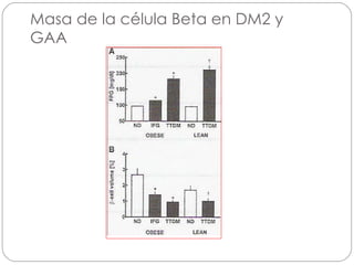 Masa de la célula Beta en DM2 y GAA 