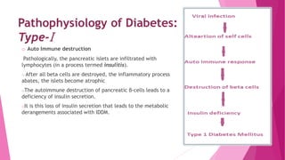 Pathophysiology of Diabetes:
Type-I
o Auto Immune destruction
Pathologically, the pancreatic islets are infiltrated with
lymphocytes (in a process termed insulitis).
o After all beta cells are destroyed, the inflammatory process
abates, the islets become atrophic
oThe autoimmune destruction of pancreatic β-cells leads to a
deficiency of insulin secretion.
oIt is this loss of insulin secretion that leads to the metabolic
derangements associated with IDDM.
 