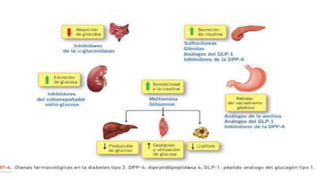Sulfonilureas (efectos adversos)
• 1. hipoglicemia, por su gran duracion de accion
• 2.Alteracion digestiva: nausea, diarr...