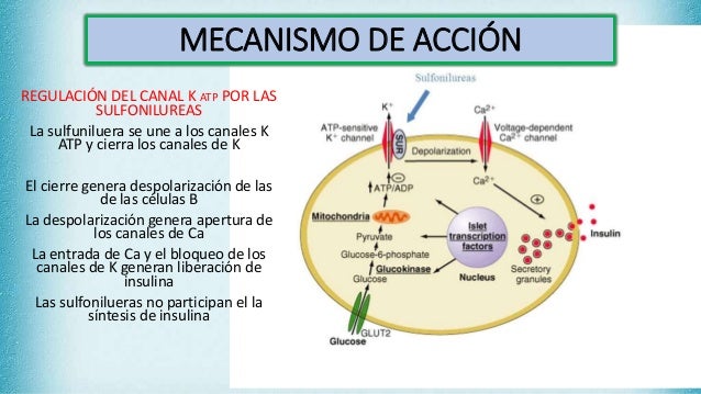 Diabetes mellitus,hipoglucemiantes orales Diabetes mellitus,hipoglucemiantes orales
