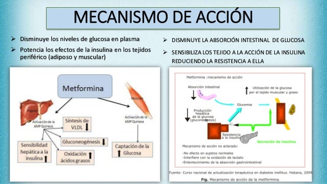 Diabetes mellitus,hipoglucemiantes orales Diabetes mellitus,hipoglucemiantes orales