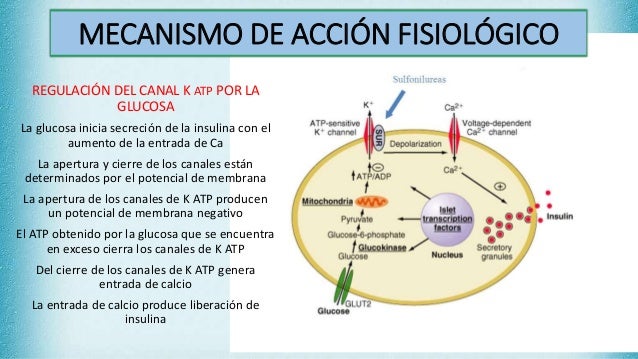 Diabetes mellitus,hipoglucemiantes orales Diabetes mellitus,hipoglucemiantes orales