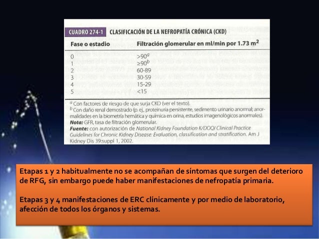Diabetes mellitus II Diabetes mellitus II