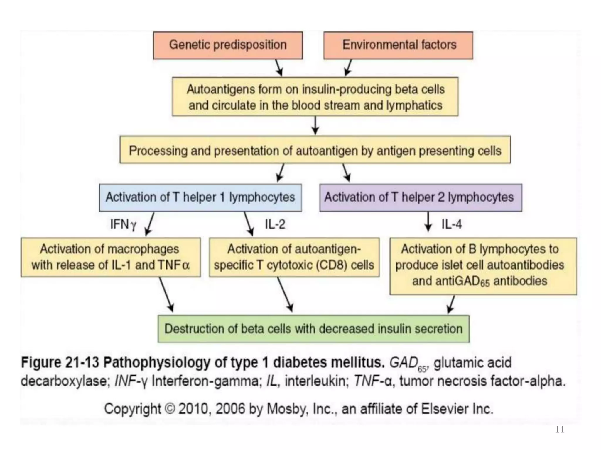 Diabetes mellitus in children; types, pathophysiology and diagnosis | PPTX