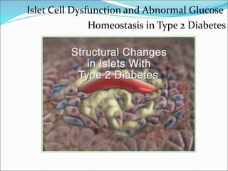 Islet Cell Dysfunction and Abnormal Glucose
Homeostasis in Type 2 Diabetes
 