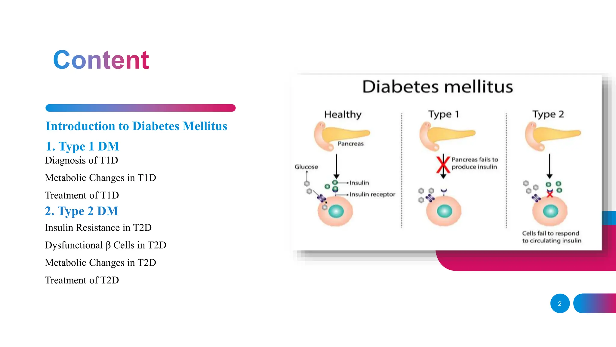 Diabetes Mellitus both Type 1 and Type 2 ppt.pptx