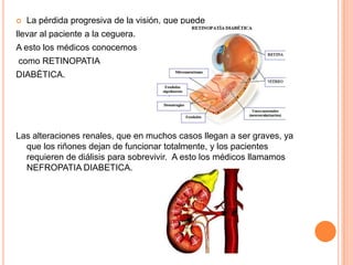  La pérdida progresiva de la visión, que puede
llevar al paciente a la ceguera.
A esto los médicos conocemos
como RETINOPATIA
DIABÉTICA.
Las alteraciones renales, que en muchos casos llegan a ser graves, ya
que los riñones dejan de funcionar totalmente, y los pacientes
requieren de diálisis para sobrevivir. A esto los médicos llamamos
NEFROPATIA DIABETICA.
 