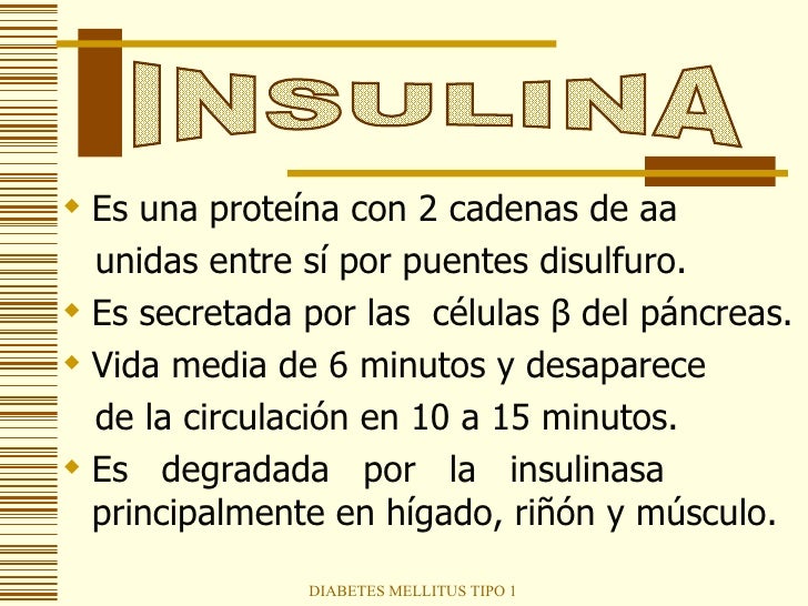 Diabetes Mellitus Tipo 1 Diabetes Mellitus Tipo 1