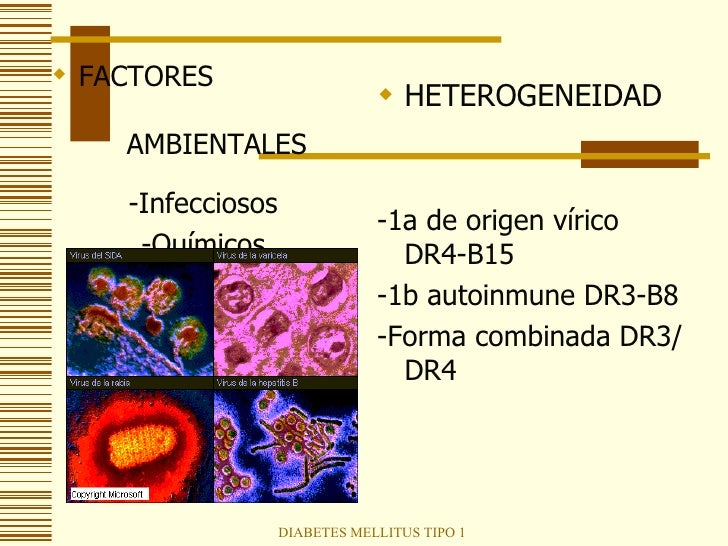 Diabetes Mellitus Tipo 1 Diabetes Mellitus Tipo 1