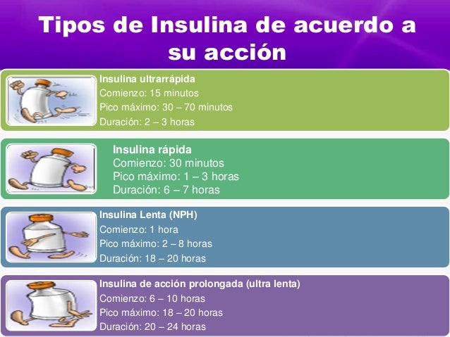 Diabetes mellitus tipo 1 patologia Diabetes mellitus tipo 1 patologia