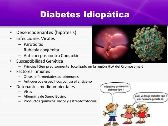 Diabetes mellitus tipo 1 patologia Diabetes mellitus tipo 1 patologia