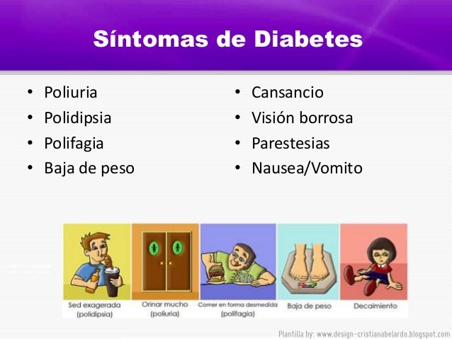 Diabetes mellitus tipo 1 patologia Diabetes mellitus tipo 1 patologia