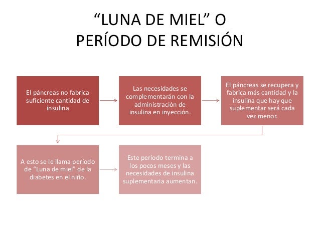 Diabetes mellitus tipo 1 Diabetes mellitus tipo 1