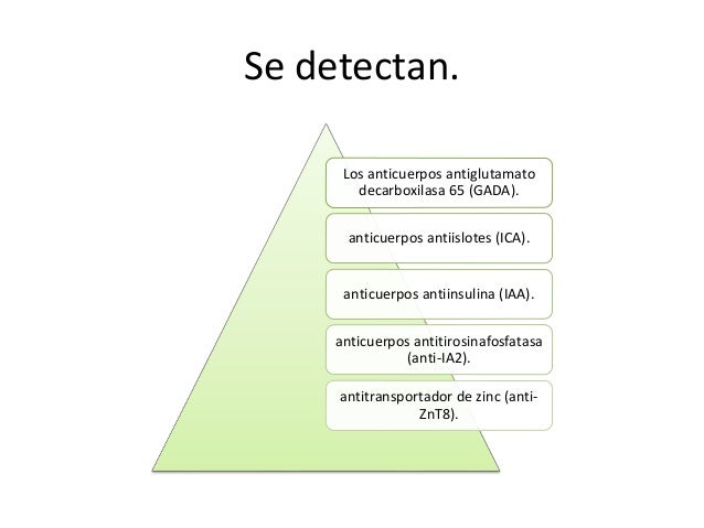 Diabetes mellitus tipo 1 Diabetes mellitus tipo 1