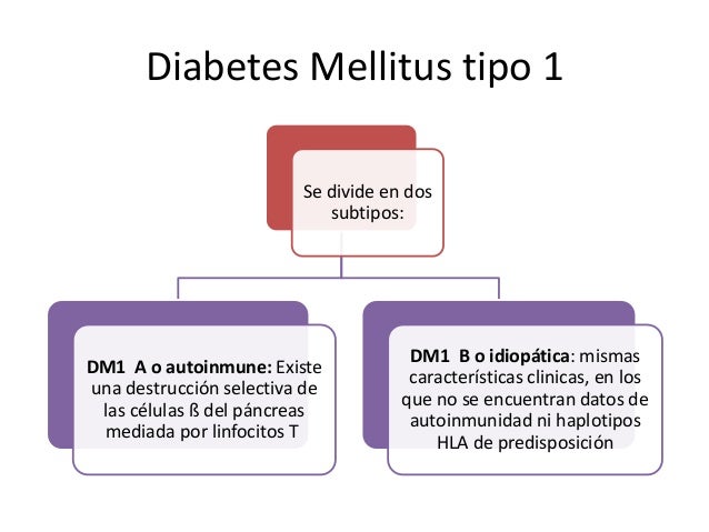 Diabetes mellitus tipo 1 Diabetes mellitus tipo 1