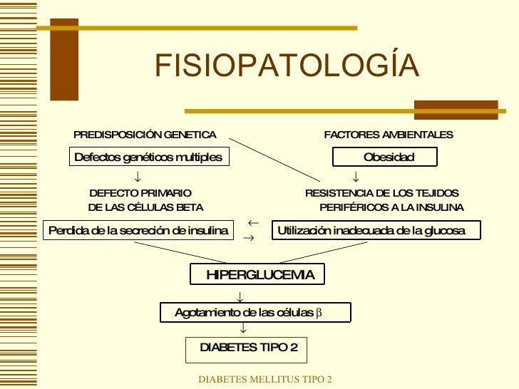 Diabetes Mellitus Tipo 2 Diabetes Mellitus Tipo 2