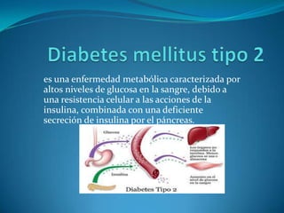 es una enfermedad metabólica caracterizada por
altos niveles de glucosa en la sangre, debido a
una resistencia celular a las acciones de la
insulina, combinada con una deficiente
secreción de insulina por el páncreas.

 