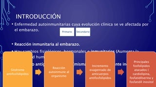 INTRODUCCIÓN
• Enfermedad autoinmunitarias cuya evolución clínica se ve afectada por
el embarazo.
• Reacción inmunitaria al embarazo.
• Hay cambios fisiológicos, hormonales e inmunitarios (Aumenta la
inmunidad humoral.
• Feto como antígeno alogénico (misma especie, diferente individuo)
Primario Secundario
Síndrome
antifosfolipidos
Reacción
autoinmune al
organismo
Incremento
exagenrado de
anticuerpos
antifosfolipidos
Principales
fosfolípidos
atacados (
cardiolipina,
fosfatidilserina y
fosfatidil inositol
 