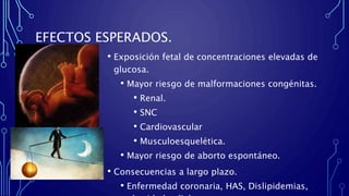 EFECTOS ESPERADOS.
• Exposición fetal de concentraciones elevadas de
glucosa.
• Mayor riesgo de malformaciones congénitas.
• Renal.
• SNC
• Cardiovascular
• Musculoesquelética.
• Mayor riesgo de aborto espontáneo.
• Consecuencias a largo plazo.
• Enfermedad coronaria, HAS, Dislipidemias,
 