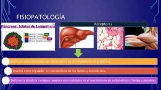FISIOPATOLOGÍA
Receptores
Junto con otras hormonas permite el ajuste en el metabolismo de la glucosa.
Insulina como regulador del metabolismo de los lípidos y aminoácidos,
Deficiencia absoluta o relativa, produce anormalidades en el metabolismo de carbohidratos, lipidos y proteínas
 