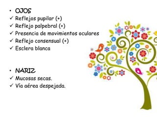 • OJOS
 Reflejos pupilar (+)
 Reflejo palpebral (+)
 Presencia de movimientos oculares
 Reflejo consensual (+)
 Esclera blanca
• NARIZ
 Mucosas secas.
 Vía aérea despejada.
 