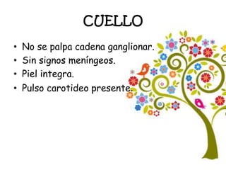 CUELLO
• No se palpa cadena ganglionar.
• Sin signos meníngeos.
• Piel integra.
• Pulso carotideo presente.
 