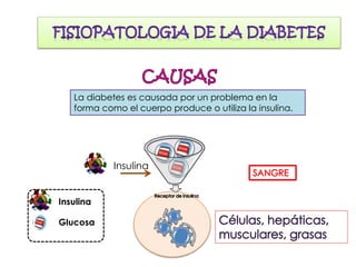 La diabetes es causada por un problema en la
forma como el cuerpo produce o utiliza la insulina.
Insulina
Glucosa
Insulina
 