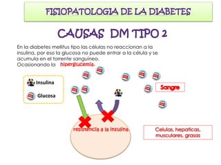 En la diabetes mellitus tipo las células no reaccionan a la
insulina, por eso la glucosa no puede entrar a la célula y se
acumula en el torrente sanguíneo.
Ocasionando la
Insulina
Glucosa
resistencia a la insulina.
hiperglucemia.
 